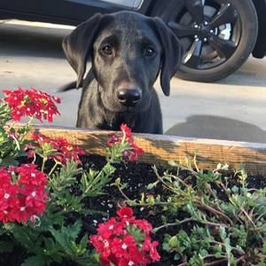 Meet your Posher, Colby